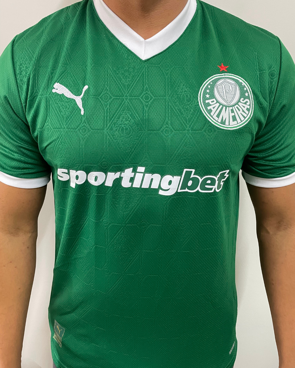 15491719599-catalogo-871d2d52ea1168963117682266187678-1024-1024.png Camisa Palmeiras Trad I Verde 2025/26 - Imagem 1