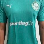 Camisa Palmeiras Treino 2025/26